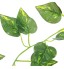 OEM - Artificial Scindapsus For Reptiles Habitat Decor